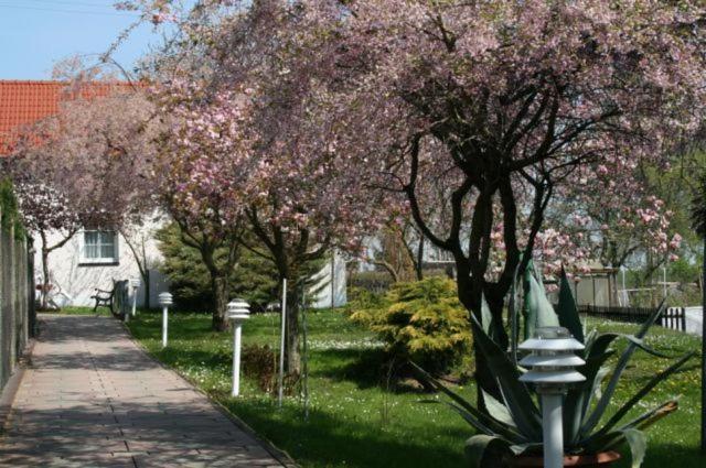 Familienhotel Zur Linde Panschwitz-Kuckau エクステリア 写真